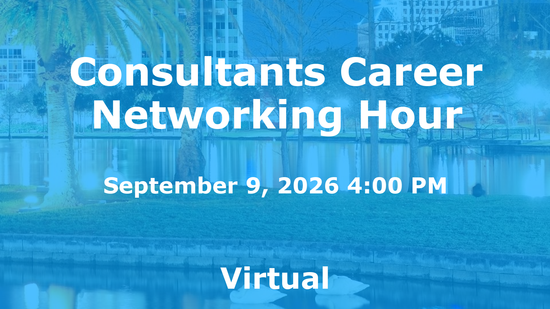 Consultants Career Networking Hour event image